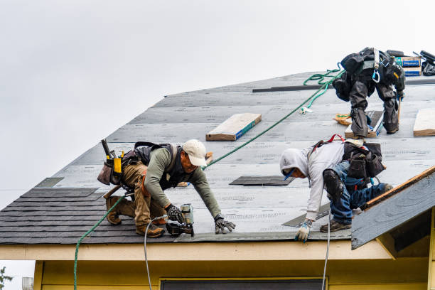 Professional Roof Installation technician working in Sargeant, MN