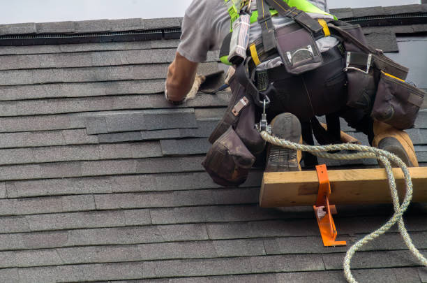 Reliable Roof Installation contractor in Sargeant, MN by Brentwood Metal Roofing
